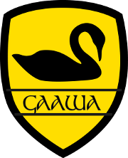Gaelic Athletic Association of WA Logo